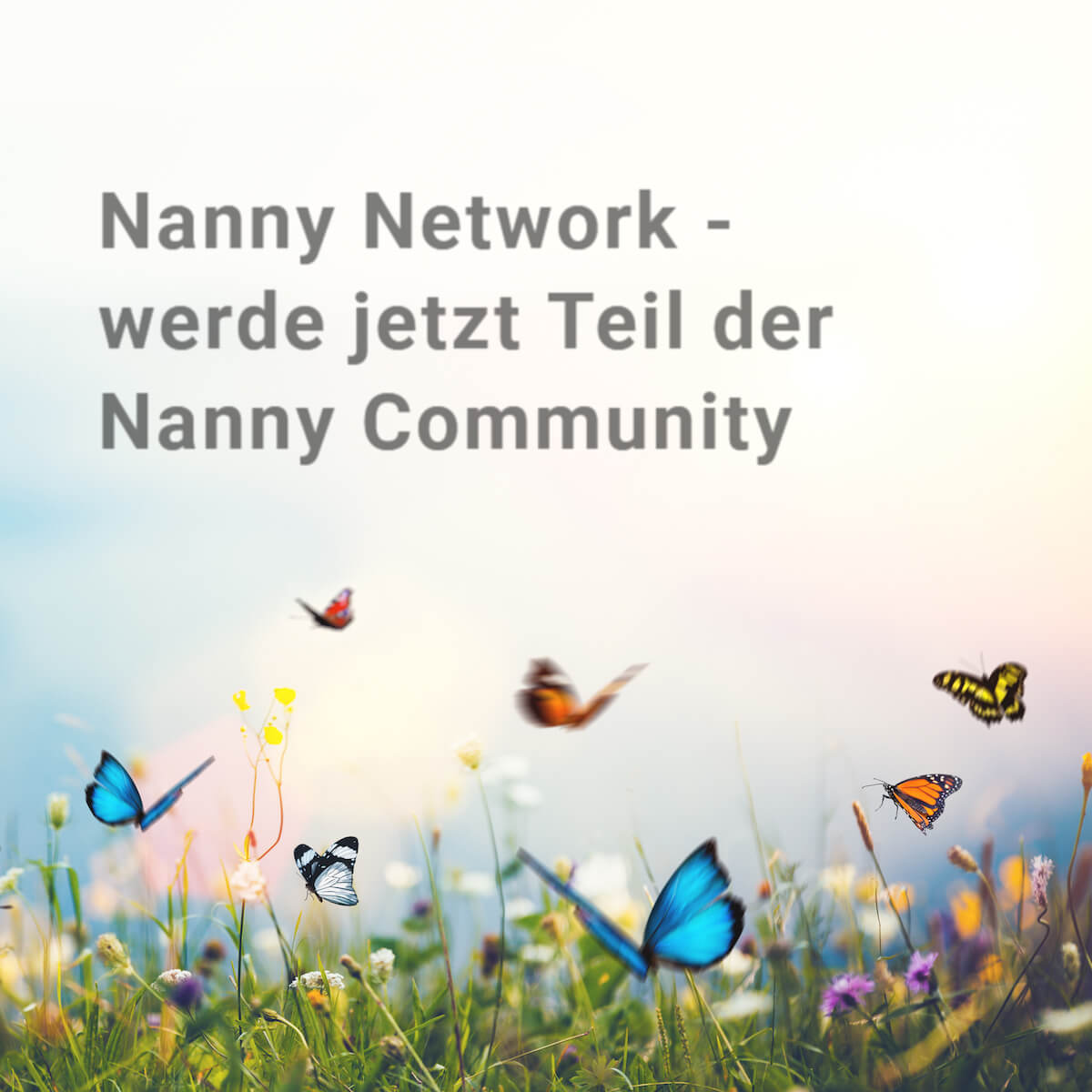 Nanny Network Community