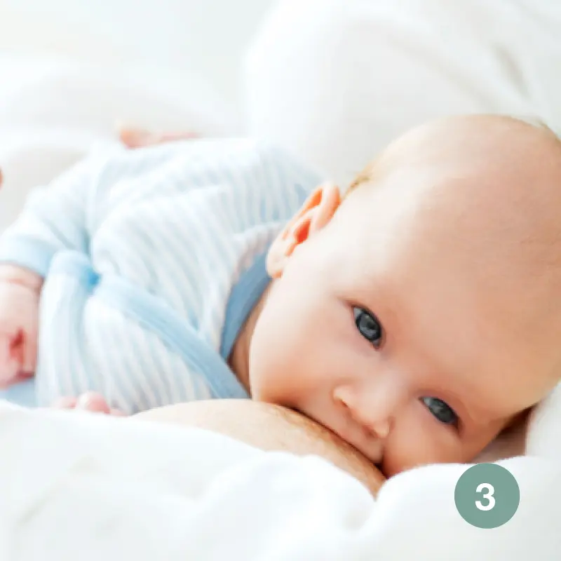 Ernährung des Säuglings – Stillen: Unterstützung und Ernährung der stillenden Mutter