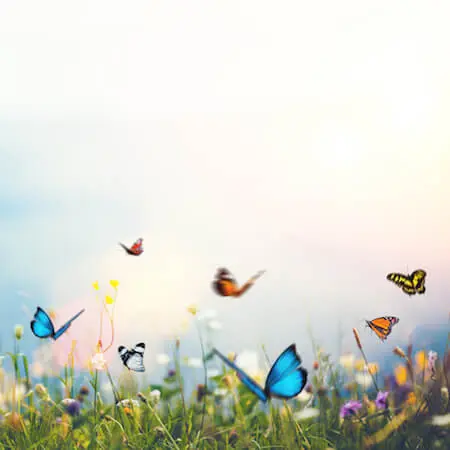 virtuelles Nanny Treffen