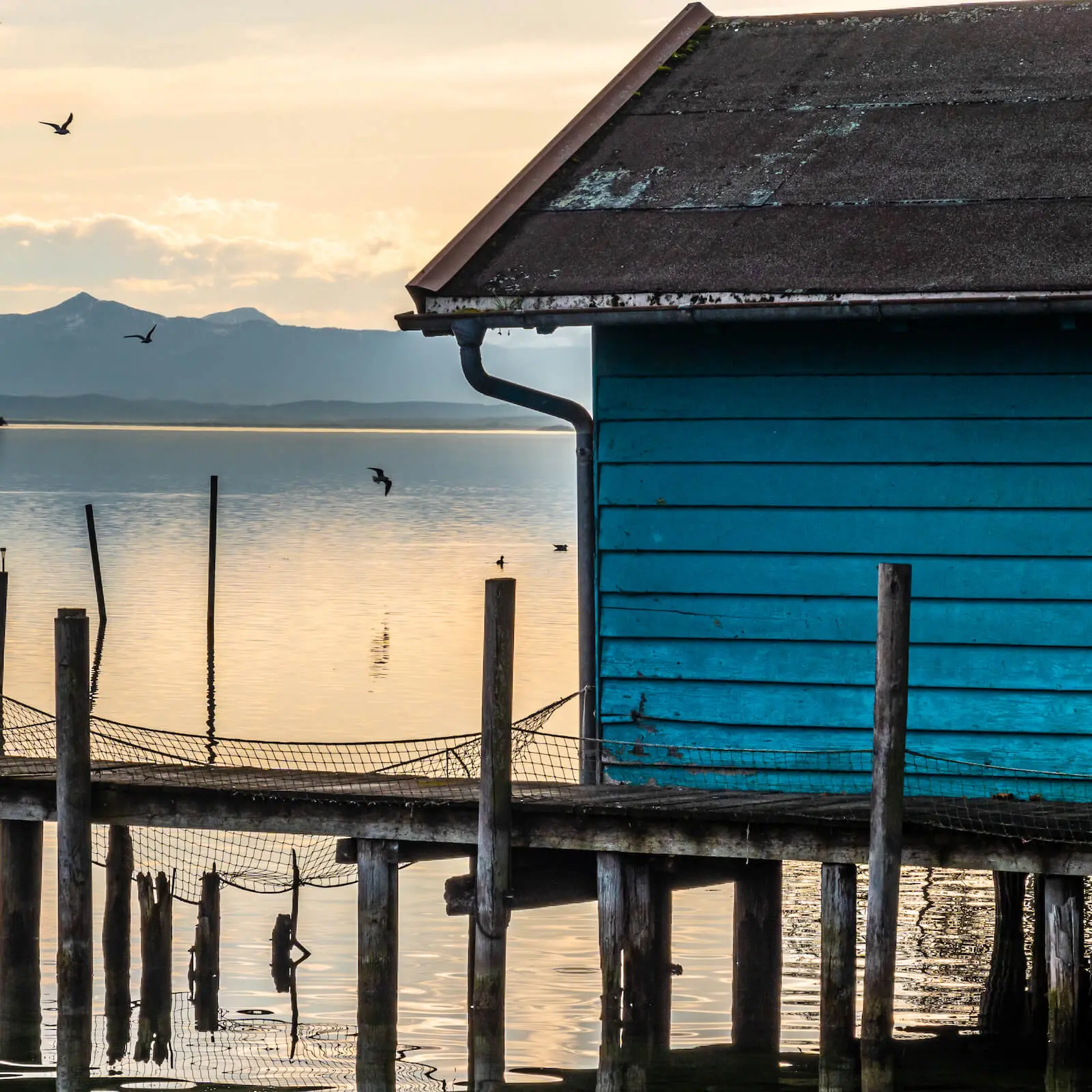Haushältern gesucht für Feldafing am Starnberger See